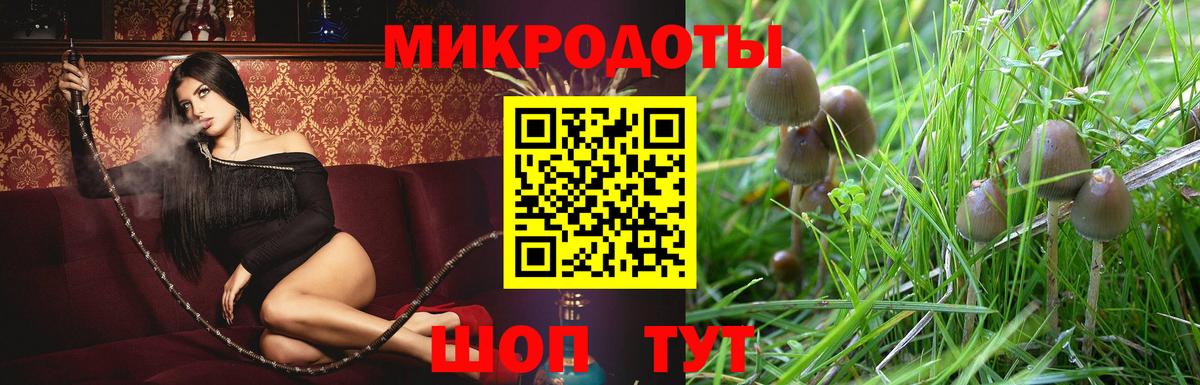 Псилоцибиновые грибы мухоморы  Галлюциногенные грибы мухоморы  Вход с VPN  Усть-Джегута 